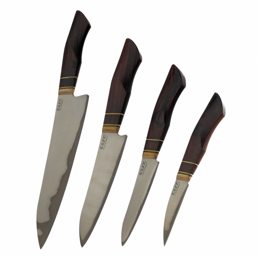 Набор из 4 кухонных ножей CUT.Concept 23.50.365, железное дерево фото 1